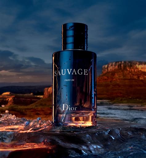 what is the scent of dior sauvage|Dior Sauvage scent description.